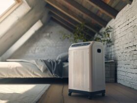 Attic Dehumidifier